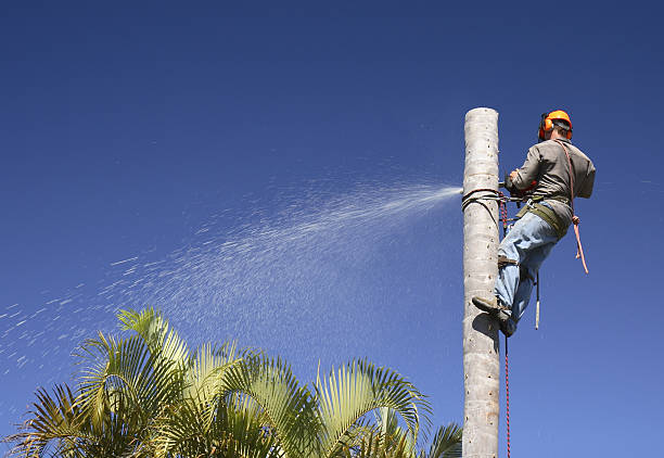 Mulching Services in Athens, AL